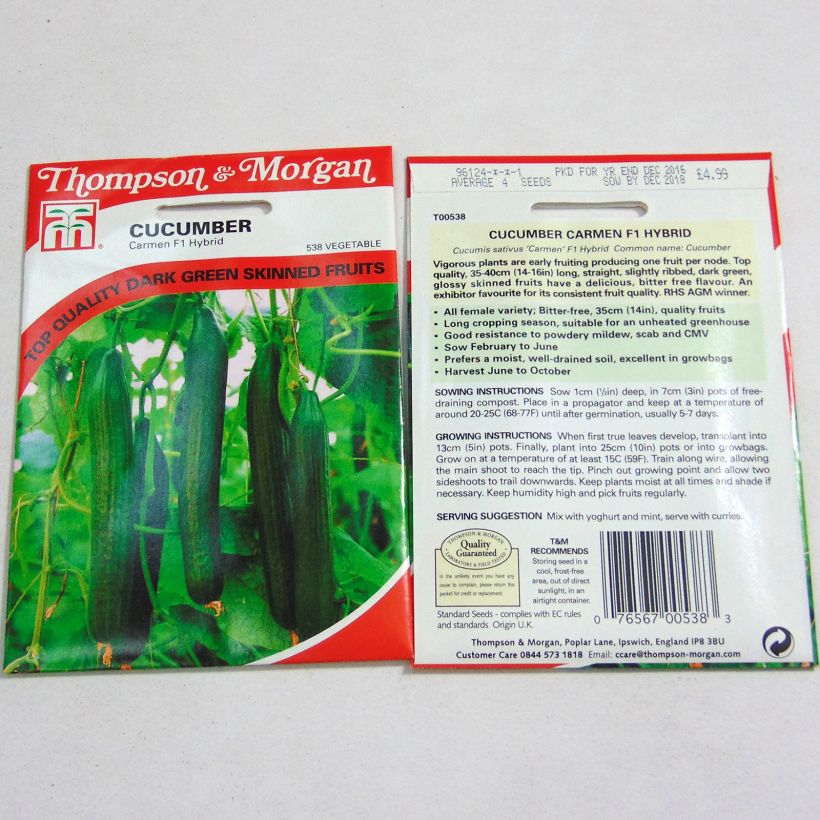 Example of Cucumber Carmen - Cucumis sativus per pack of 4 seeds specimen as delivered