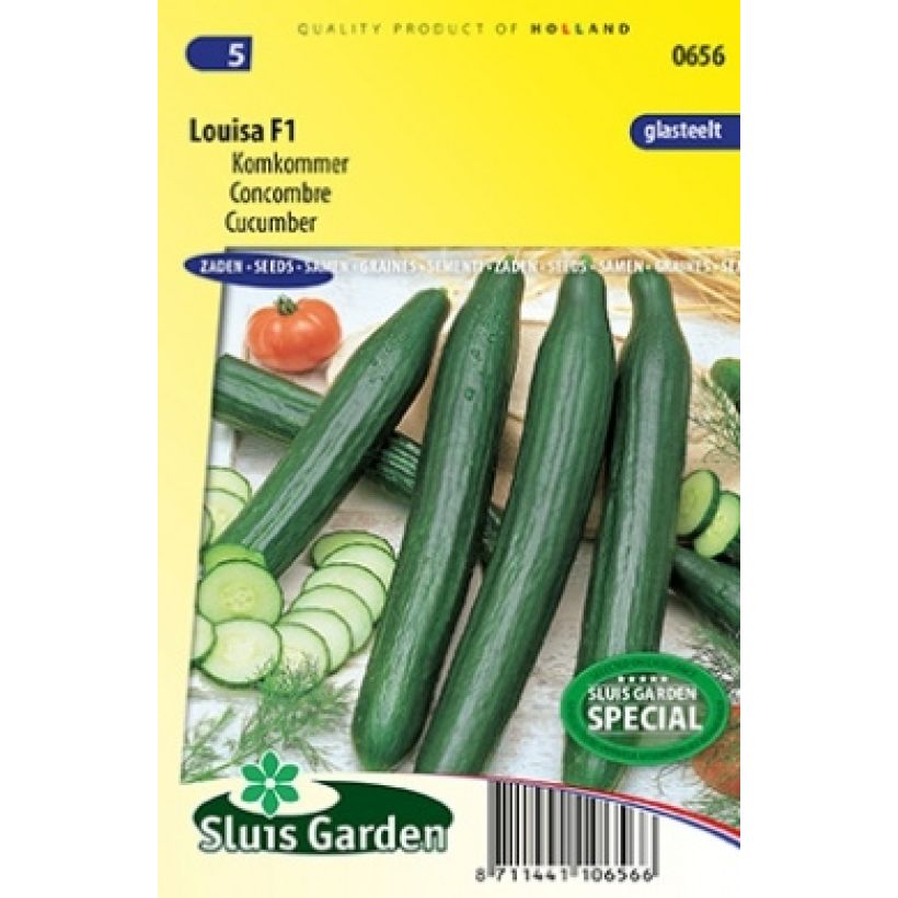 Example of Cucumis sativus Louisa F1 per pack of 7 seeds specimen as delivered