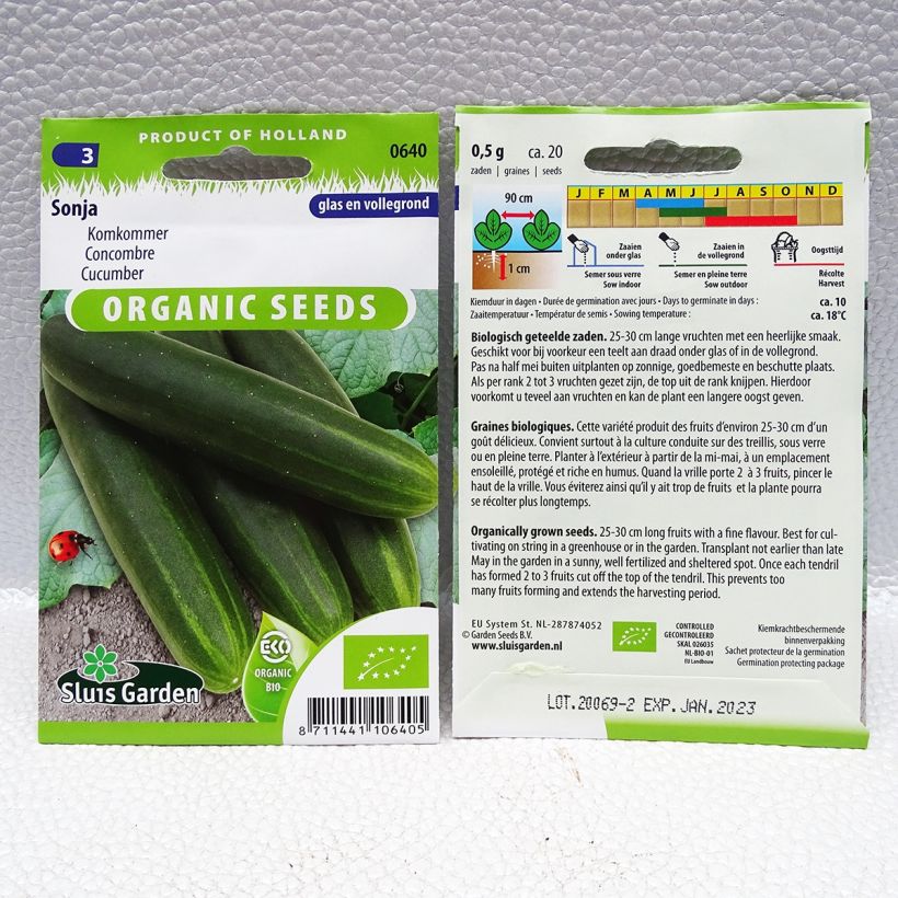 Example of Cucumber Sonja F1 per pack of 30 seeds (1g) specimen as delivered