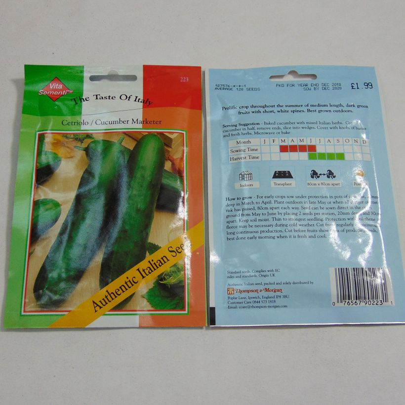 Example of Cucumber Cetriolo Marketer - Cucumis sativus per pack of 120 seeds specimen as delivered