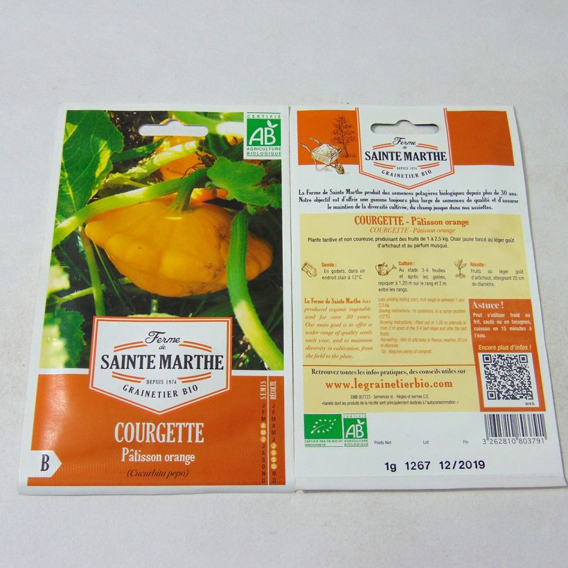 Example of Squash Orange Scallop - Ferme de Sainte Marthe Seeds per pack of 10 seeds (1g) specimen as delivered