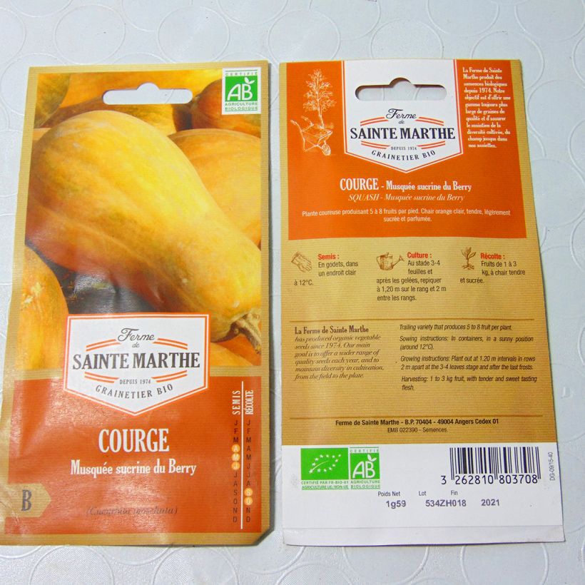 Example of Butternut Squash Sucrine du Berry - Ferme de Sainte Marthe Seeds per pack of 8 seeds (1.2g) specimen as delivered