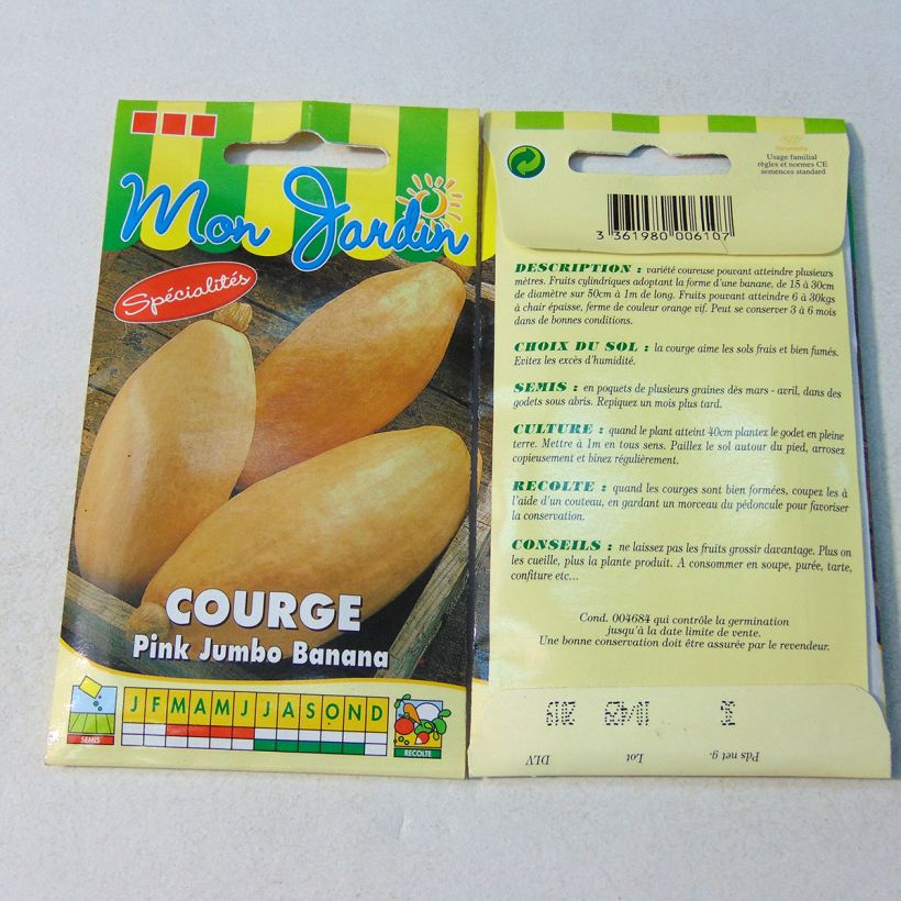 Example of Pumpkin Pink Jumbo Banana - Cucurbita maxima per pack of 15 seeds (3g) specimen as delivered