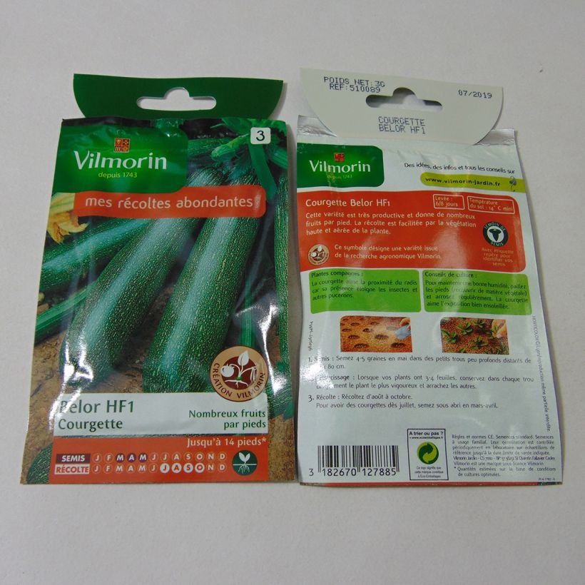 Example of Courgette Belor F1 - Vilmorin Seeds per pack of 30 seeds (3g) specimen as delivered