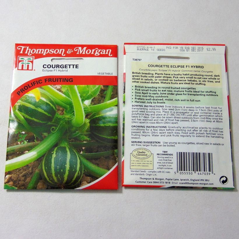 Example of Zucchini Eclipse F1 - Cucurbita pepo per pack of 10 seeds specimen as delivered