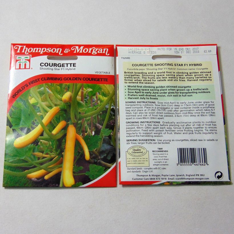 Example of Zucchini Shooting Star F1 - Cucurbita pepo per pack of 8 seeds specimen as delivered