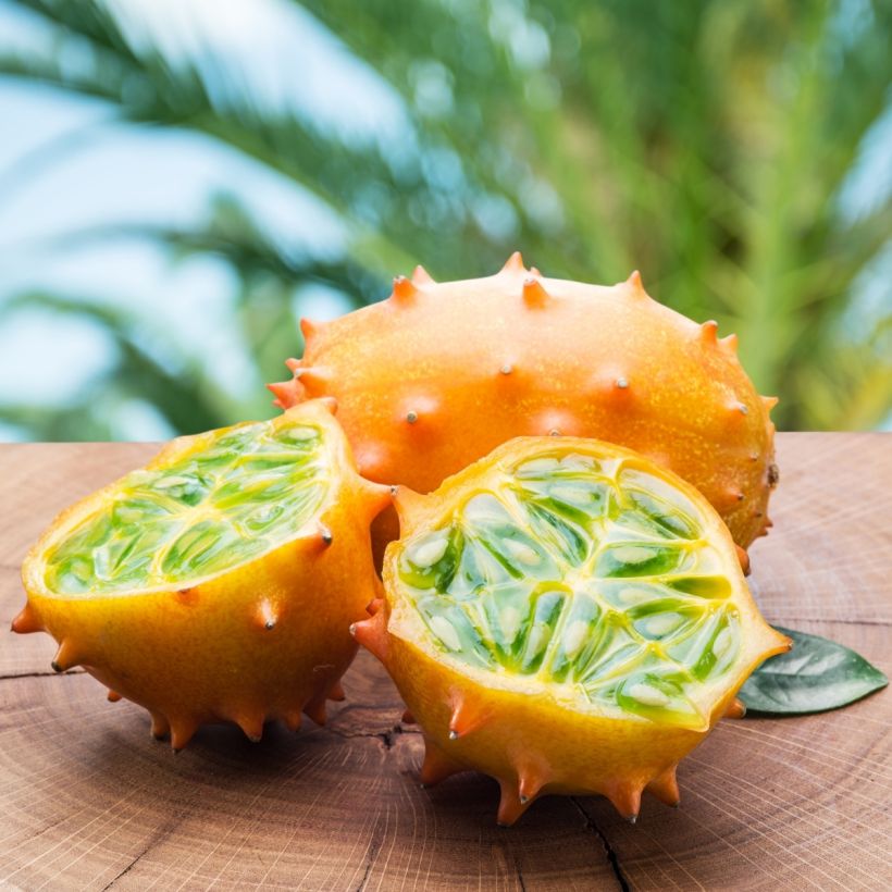 Horned Melon - Cucumis metuliferus (Harvest)
