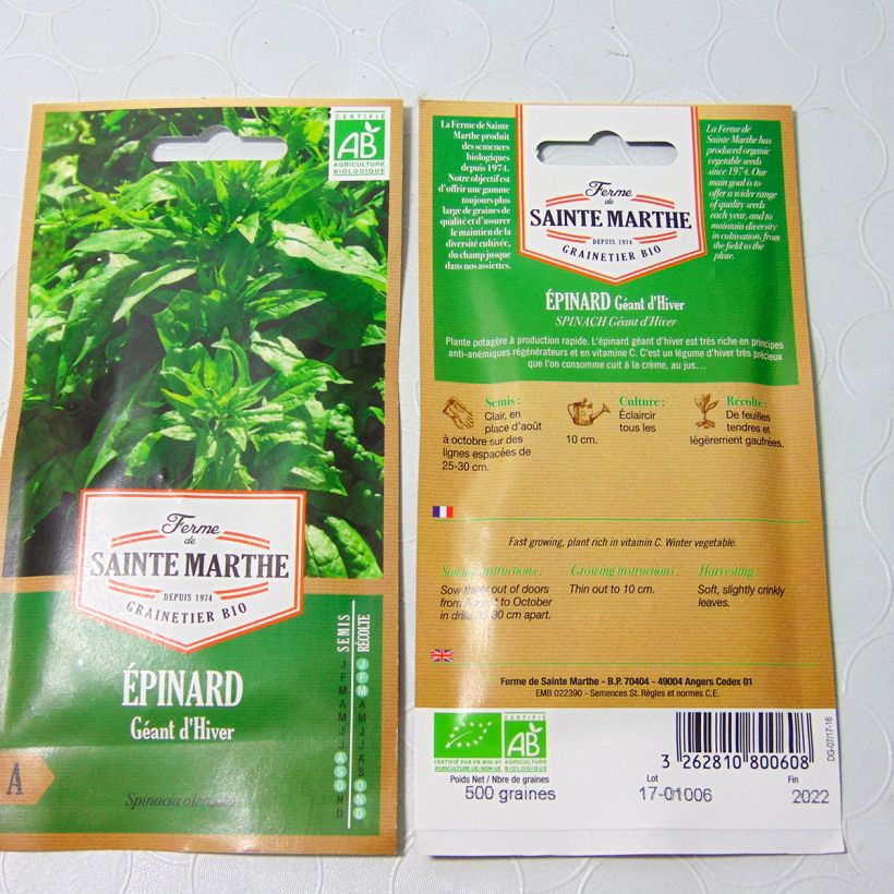 Example of Spinach Giant Winter - Ferme de Sainte Marthe Seeds per pack of 450 seeds (5.7g) specimen as delivered