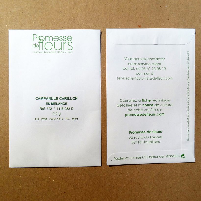 Example of Campanula medium - Canterbury Bells Seeds per pack of 2850 seeds (0,8g) specimen as delivered