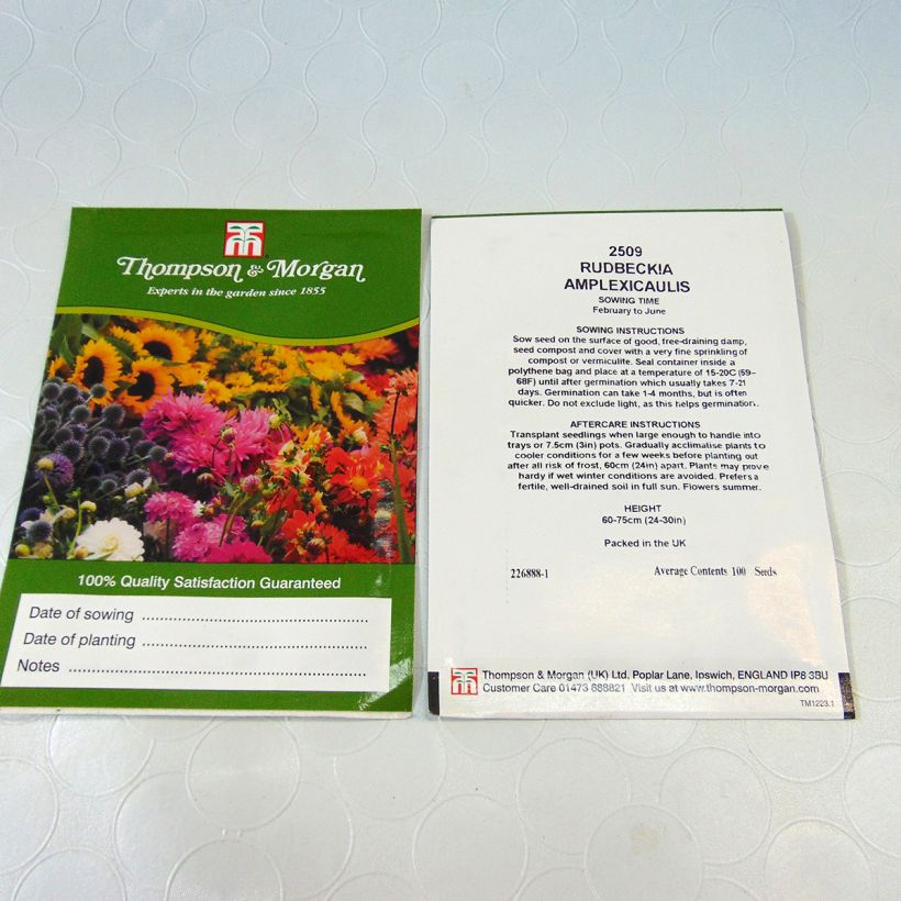 Example of Clasping coneflower Seeds - Rudbeckia amplexicaulis per pack of 400 seeds (0,3g) specimen as delivered