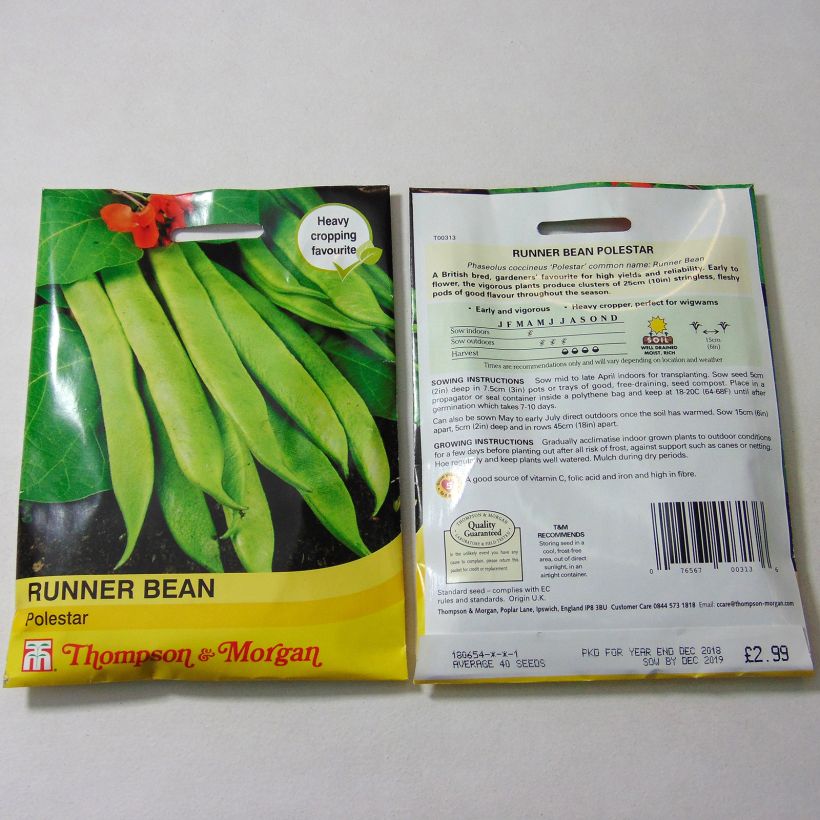 Example of Runner Bean Polestar per pack of 40 seeds specimen as delivered