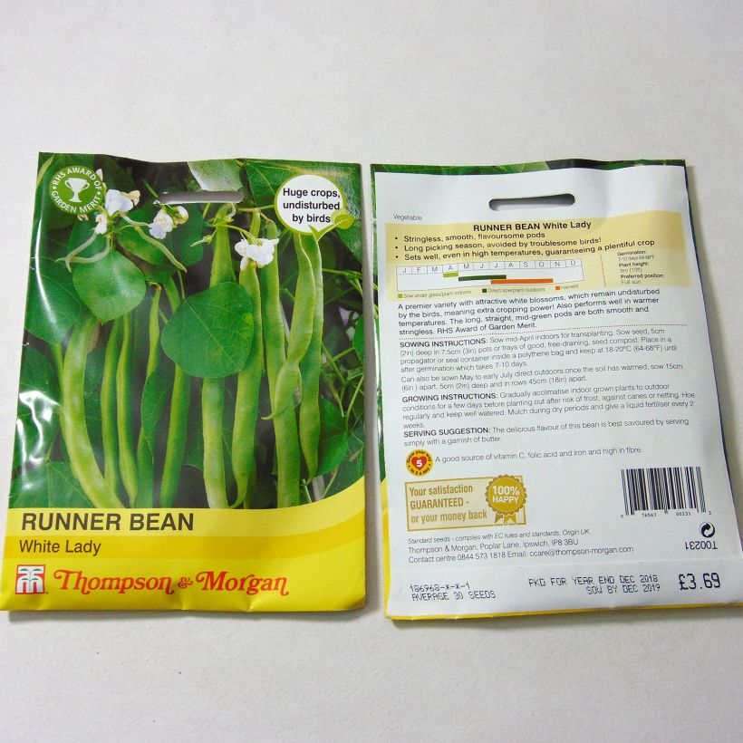 Example of Runner Bean White Lady per pack of 30 seeds specimen as delivered