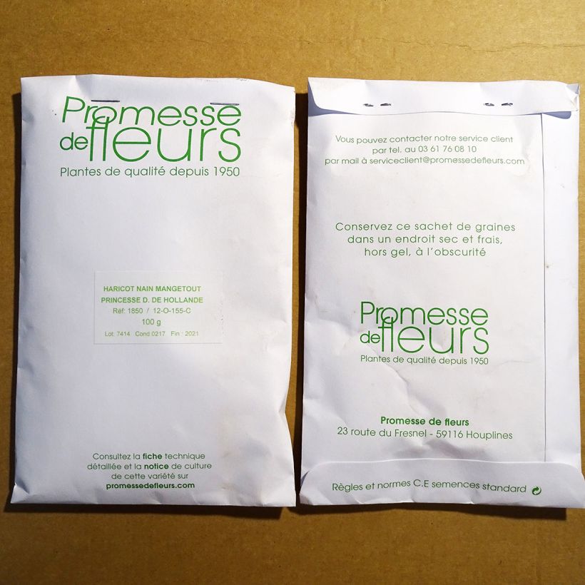Example of Dwarf French Bean Dutch Princess per pack of 350 seeds (100g) specimen as delivered