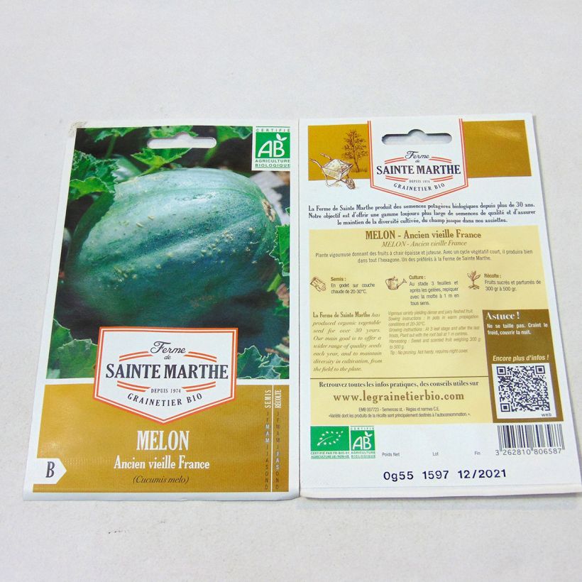 Example of Cucumis melo Ancien Vieille France per pack of 15 seeds specimen as delivered