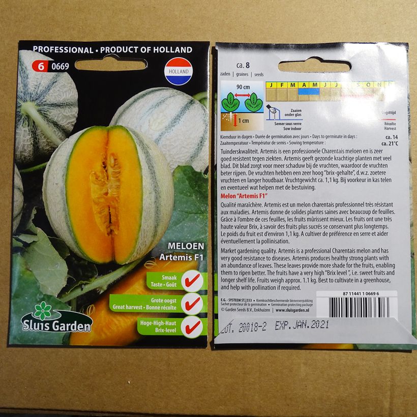 Example of Charentais Melon Artemis F1 per pack of 8 seeds specimen as delivered