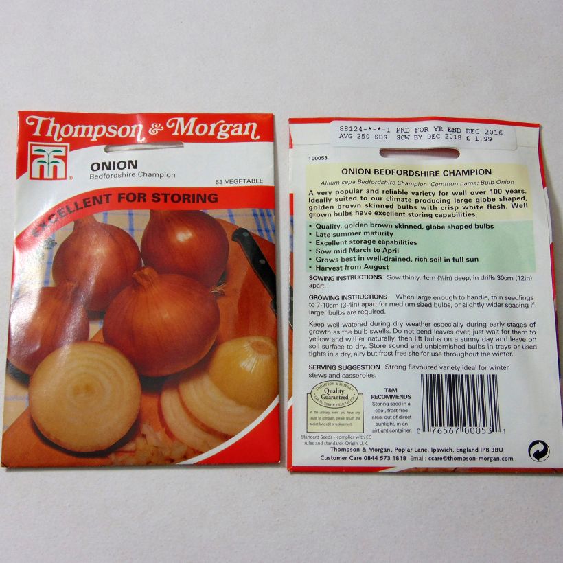 Example of Bedfordshire Champion Onion - Allium cepa per pack of 250 seeds specimen as delivered