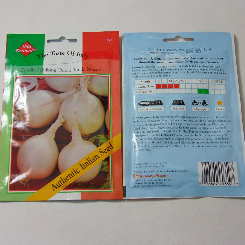 Example of White Onion Tonda Musona per pack of 840 seeds specimen as delivered