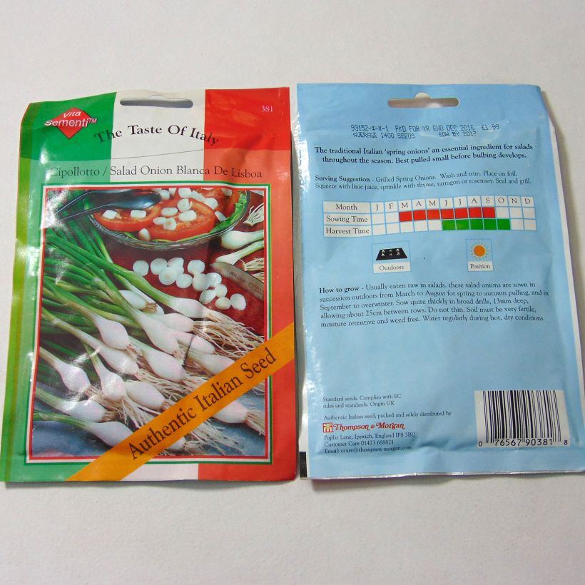 Example of Spring Onion Cipollotto White Lisbon - Allium cepa per pack of 1400 seeds specimen as delivered