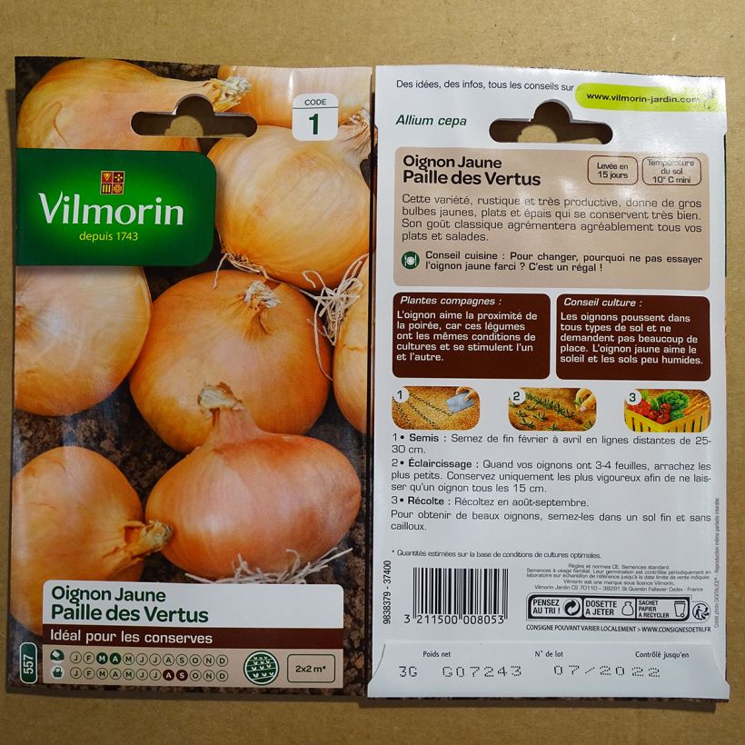 Example of Onion Jaune Paille des Vertus - Vilmorin Seeds per pack of 750 seeds (3g) specimen as delivered