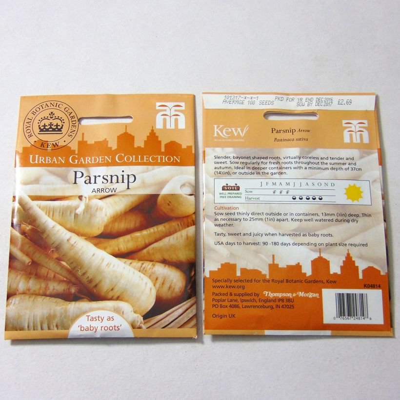 Example of Parsnip Arrow - Pastinaca sativa per pack of 100 seeds specimen as delivered