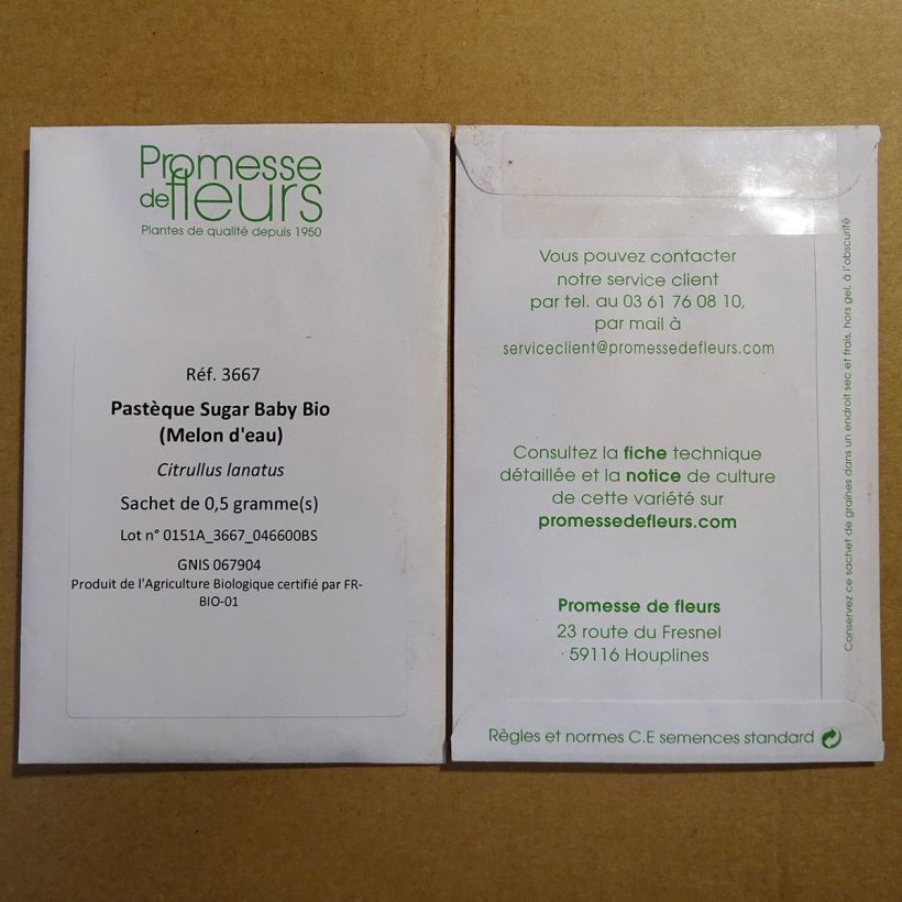 Example of Organic Watermelon Sugar Baby - Citrullus lanatus per pack of 20 seeds (1g) specimen as delivered