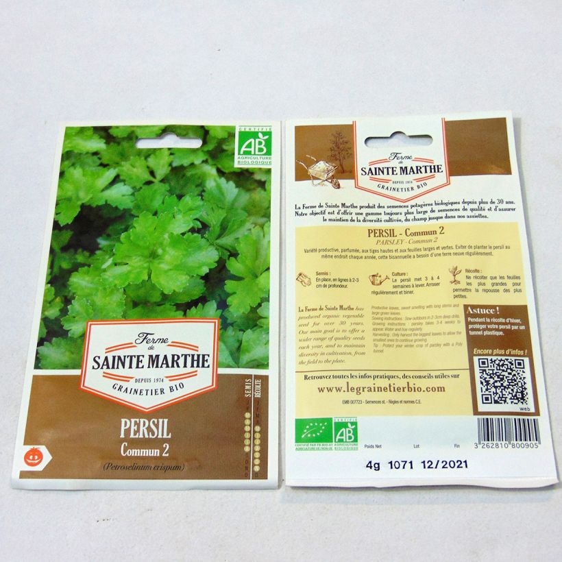 Example of Parsley Italian Flat-Leaf 2 - Ferme de Sainte Marthe Seeds per pack of 1700 seeds (4g) specimen as delivered