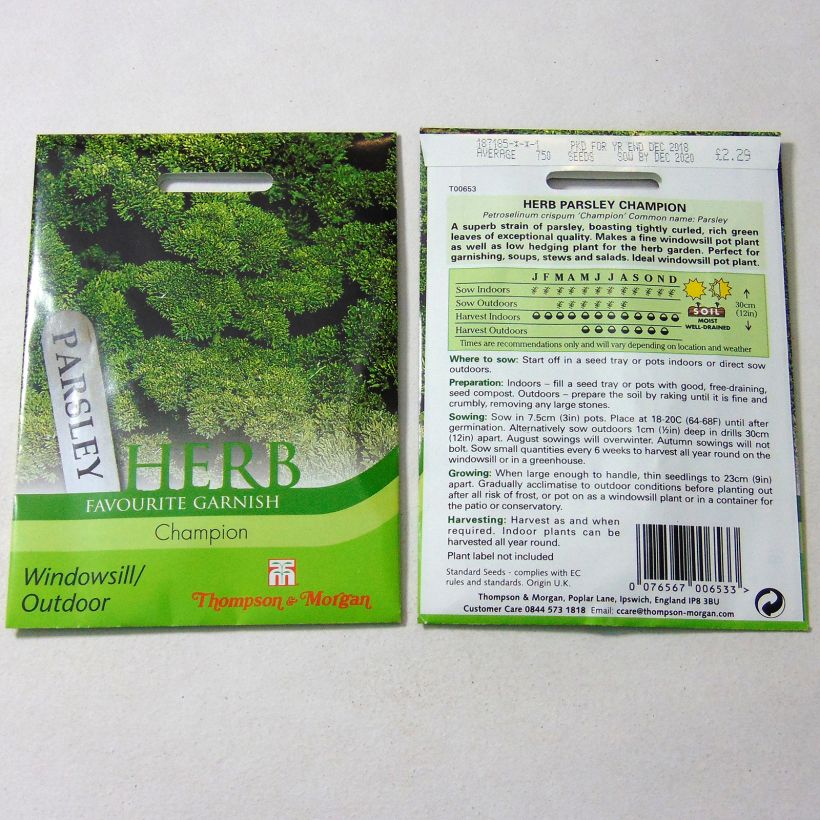 Example of Champion Curly Parsley per pack of 1750 seeds specimen as delivered