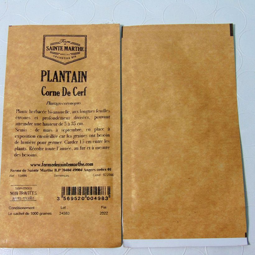 Example of Buck's Horn Plantain NT - Ferme de Sainte Marthe seeds per pack of 3000 seeds (1g) specimen as delivered