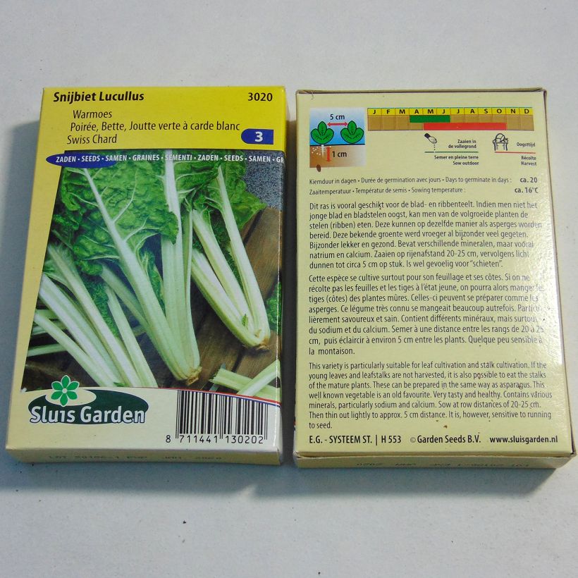 Example of Swiss Chard Lucullus per pack of 1000 seeds (25g) specimen as delivered