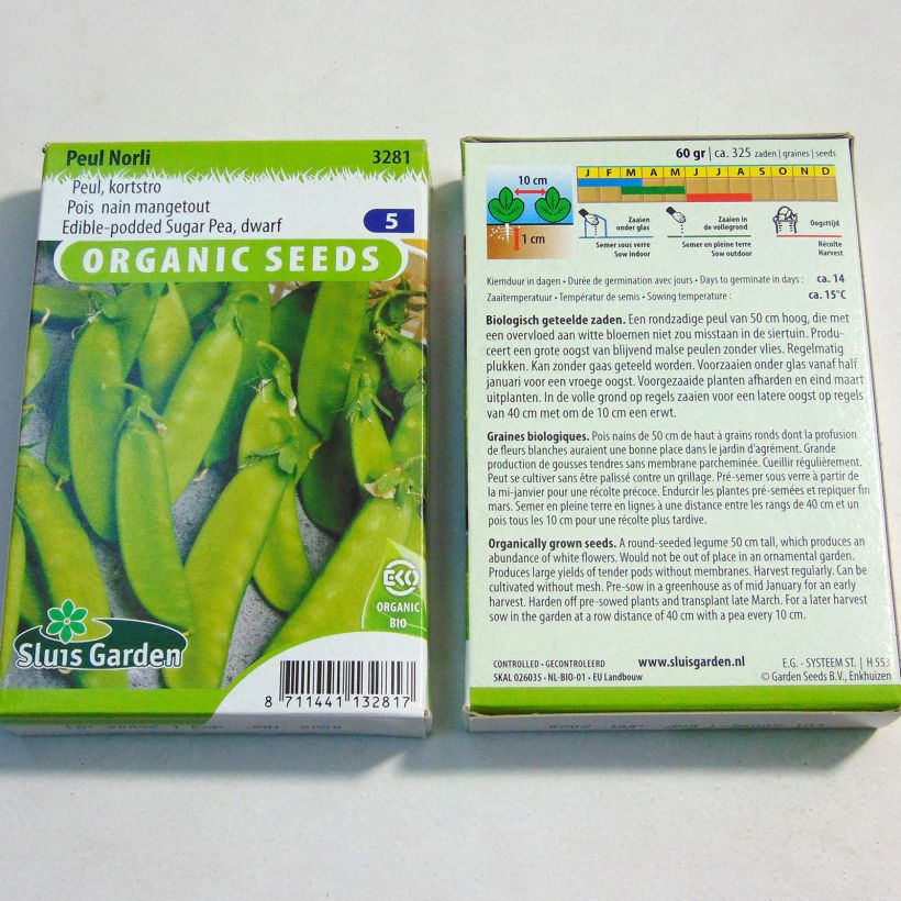 Example of Dwarf Mangetout Pea Norli per pack of 350 seeds (75g) specimen as delivered