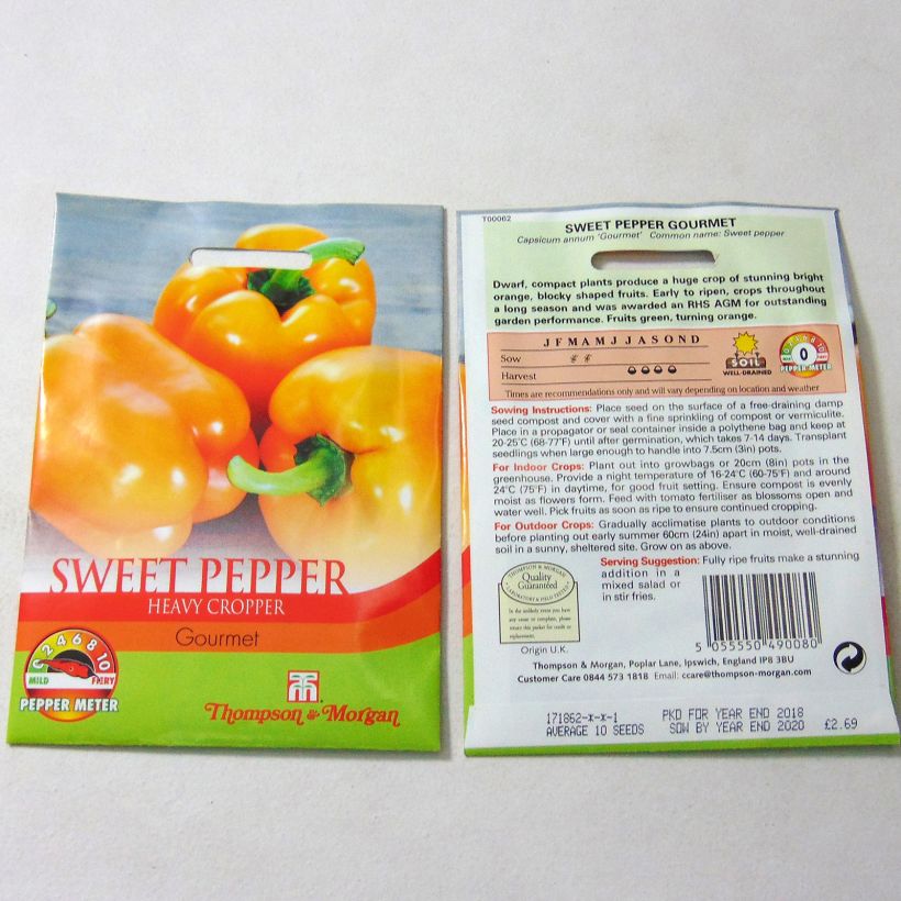 Example of Sweet Pepper Gourmet per pack of 10 seeds specimen as delivered