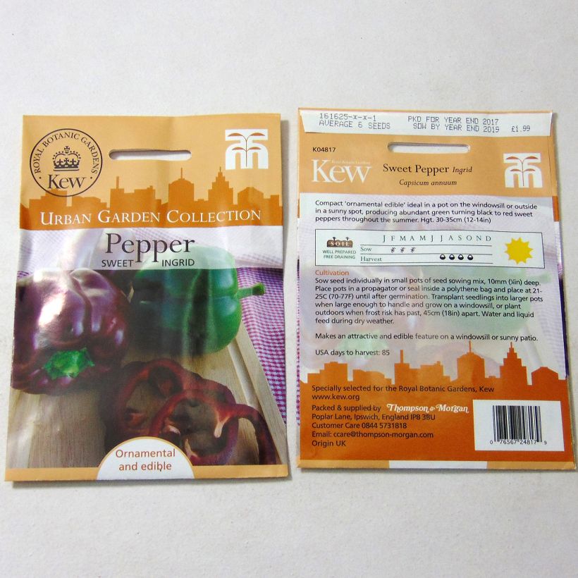 Example of Sweet Pepper Ingrid per pack of 6 seeds specimen as delivered