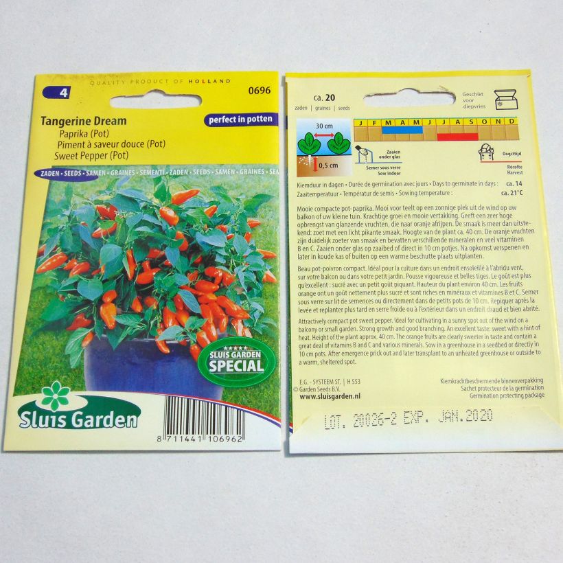 Example of Sweet Pepper Tangerine Dream per pack of 20 seeds specimen as delivered