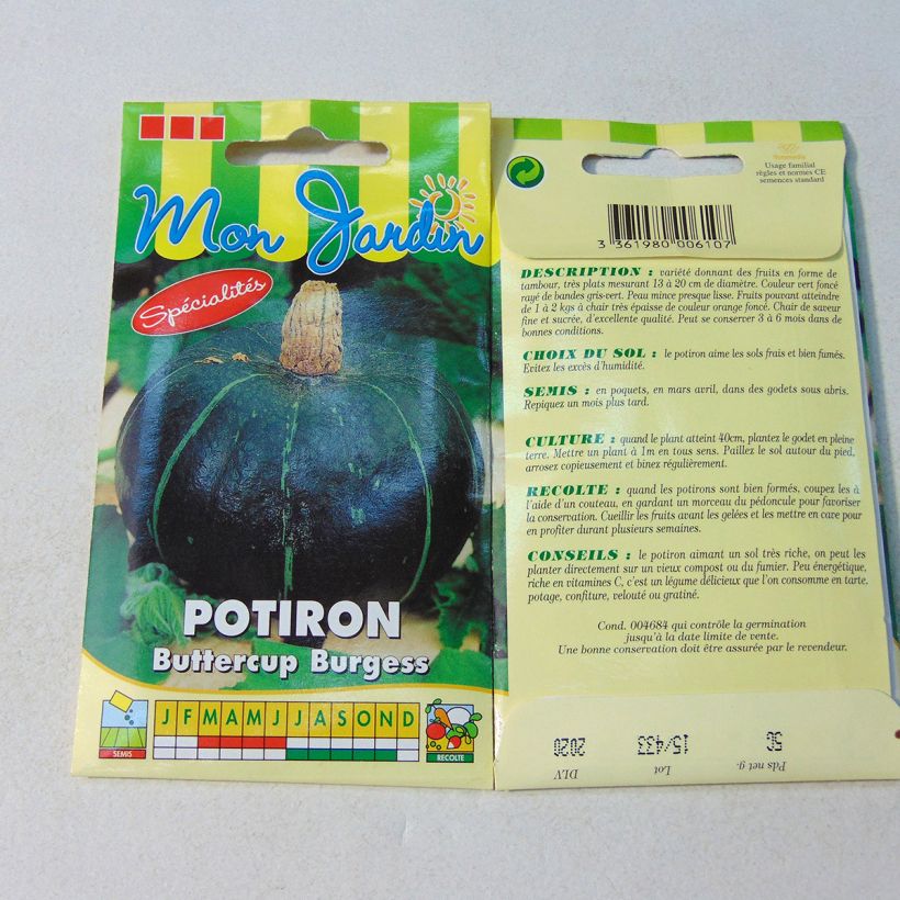 Example of Squash Buttercup Burgess per pack of 30 seeds (5g) specimen as delivered