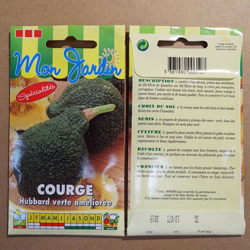 Example of Squash Green Hubbard seeds - Cucurbita maxima per pack of 18 seeds (3g) specimen as delivered