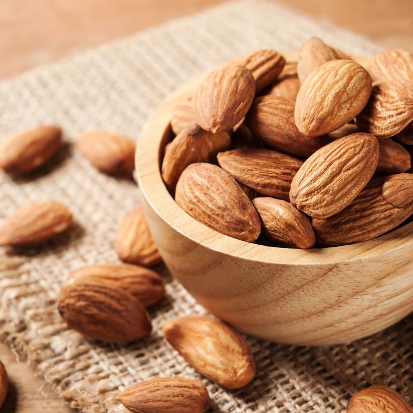 Prunus dulcis Desmayo Largueta - Almond tree (Harvest)