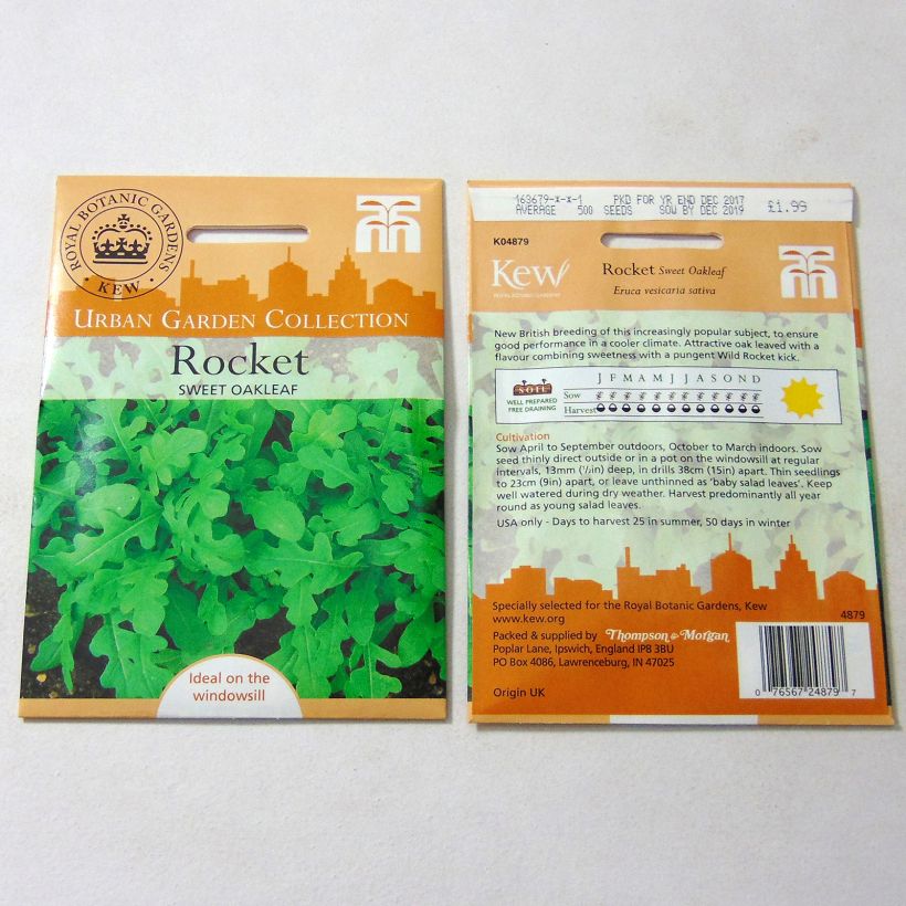 Example of Rocket Sweet Oakleaf - Arugula per pack of 600 seeds specimen as delivered