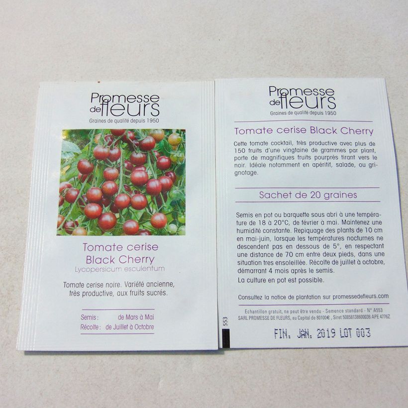 Example of Black Cherry Tomato Seeds per pack of 50 seeds (0,1g) specimen as delivered