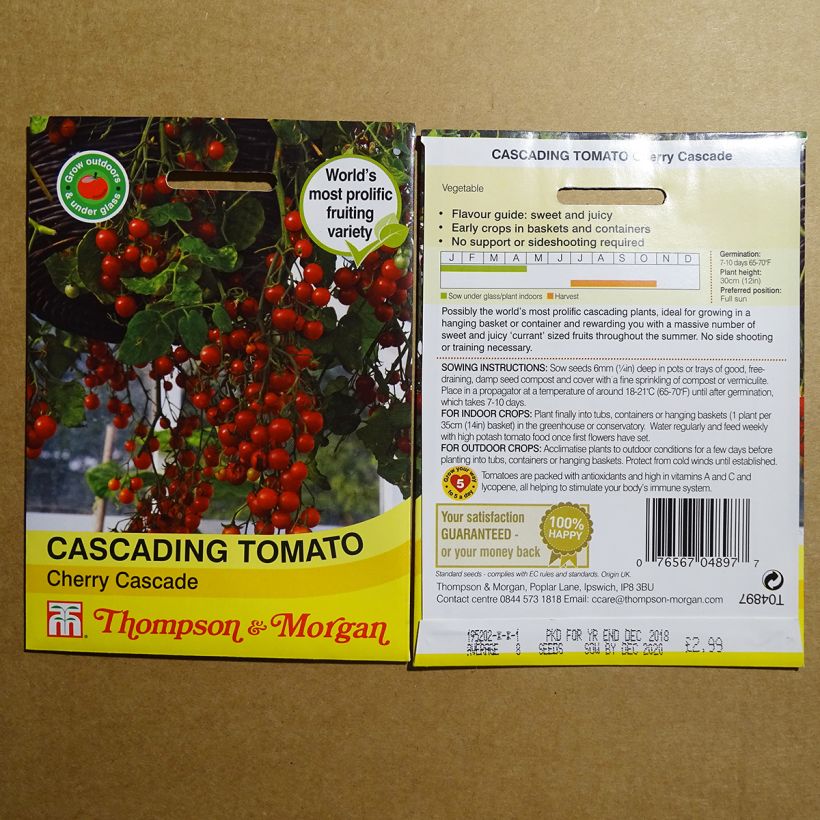 Example of Tomato Cherry Cascade per pack of 8 seeds specimen as delivered