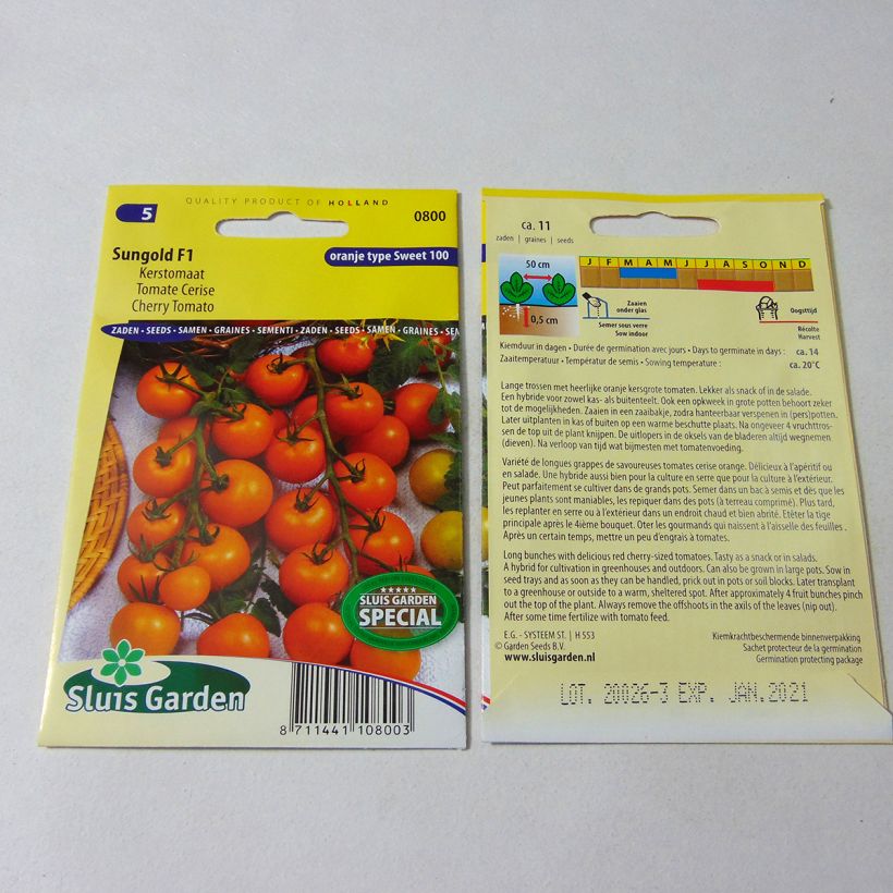 Example of Sungold F1 Cherry Tomato per pack of 11 seeds specimen as delivered