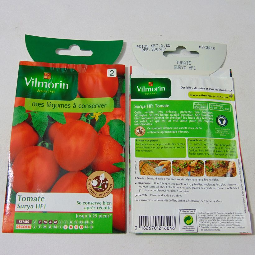 Example of Tomato Surya F1 - Vilmorin seeds per pack of 60 seeds (0.2g) specimen as delivered