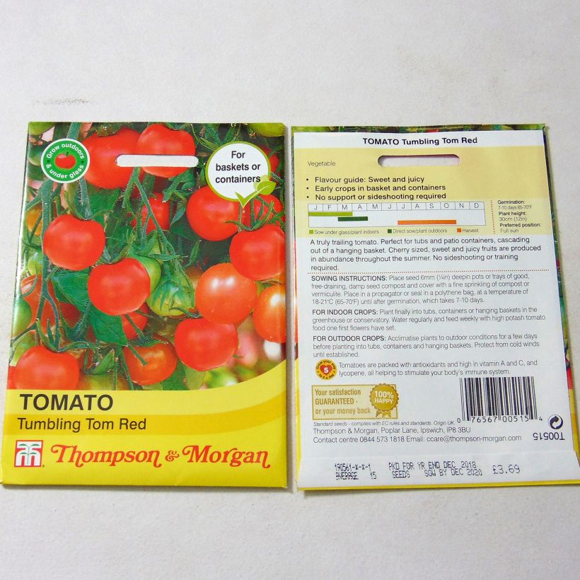 Example of Tomato Tumbling Tom Red per pack of 15 seeds specimen as delivered
