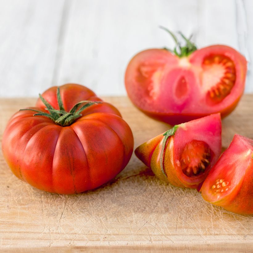 Tomato Faworyt organic seeds (Harvest)