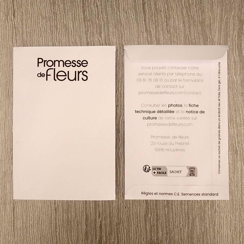 Example of Cabbage Tête de Pierre F1 - Brassica oleracea capitata per pack of 50 seeds approximately (0,3g) specimen as delivered