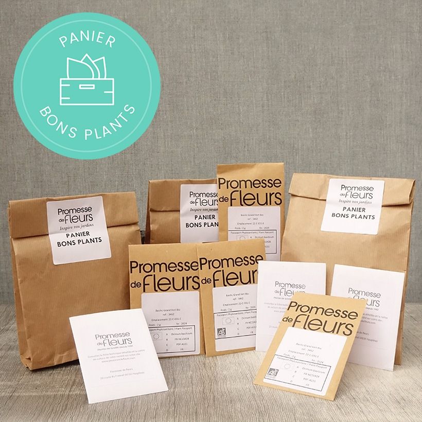 Example of Vegetable and herb seeds Anti-waste basket Seeds specimen as delivered