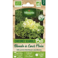 Escarole Blond Full Heart - Vilmorin Seeds