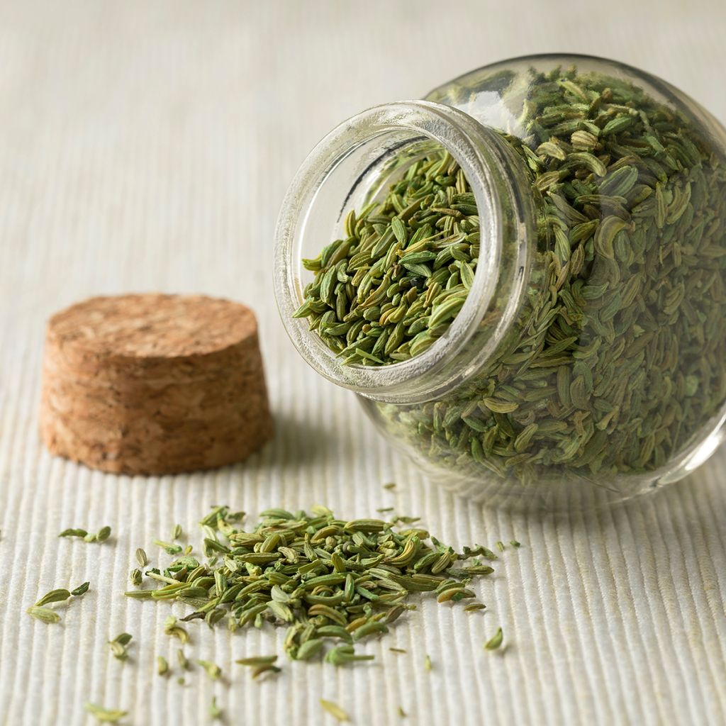 Anise organic seeds - Pimpinella anisum