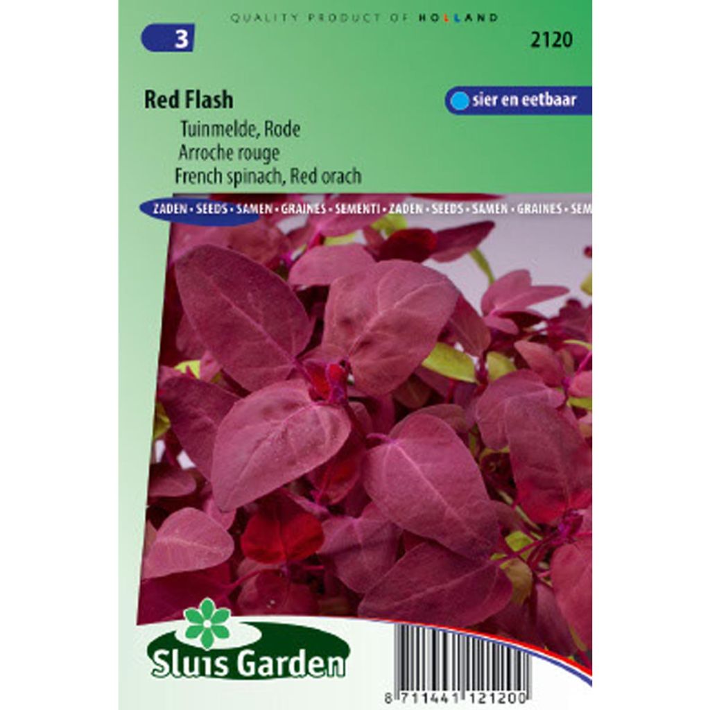 Red Orach