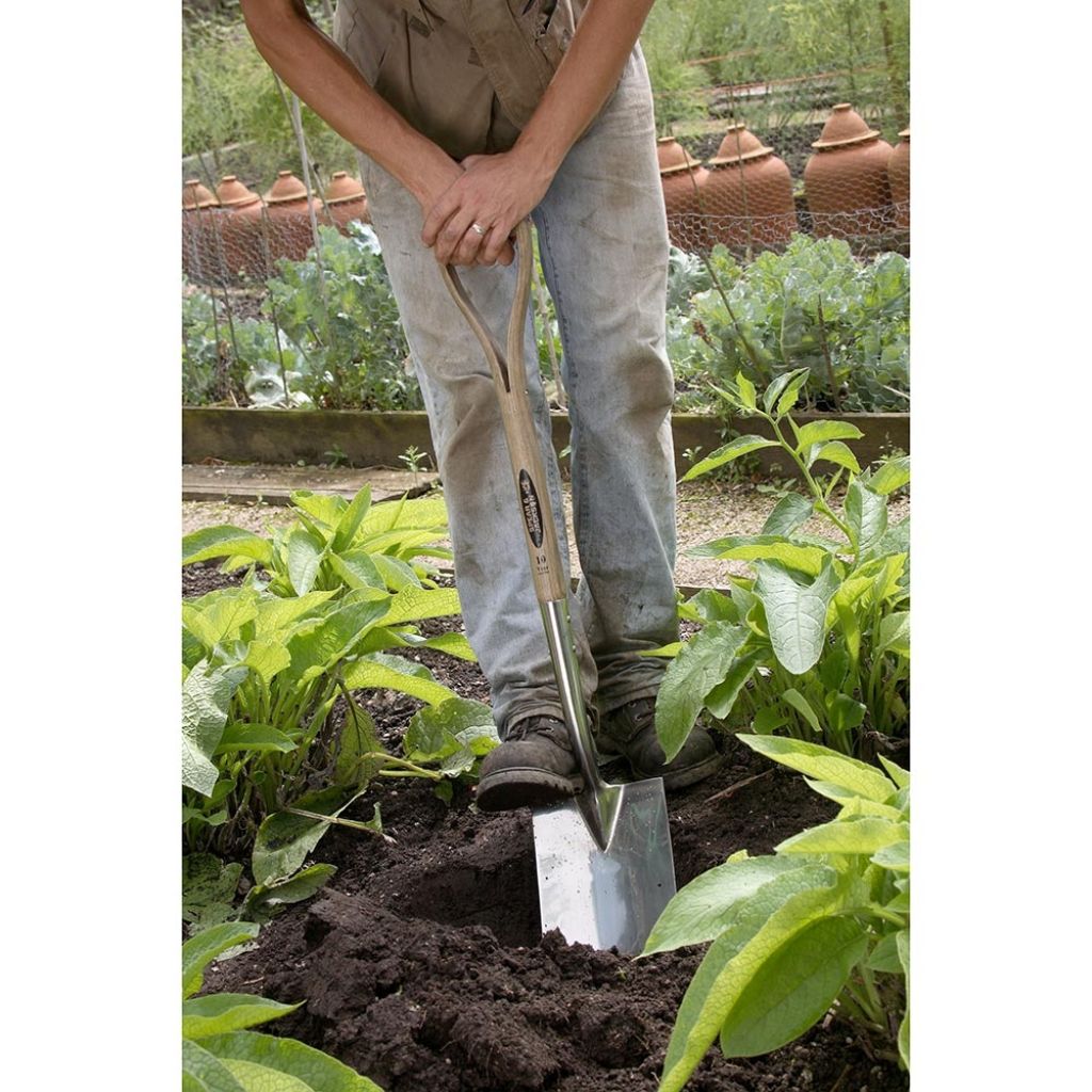 Spear and Jackson British spade with traditional handle