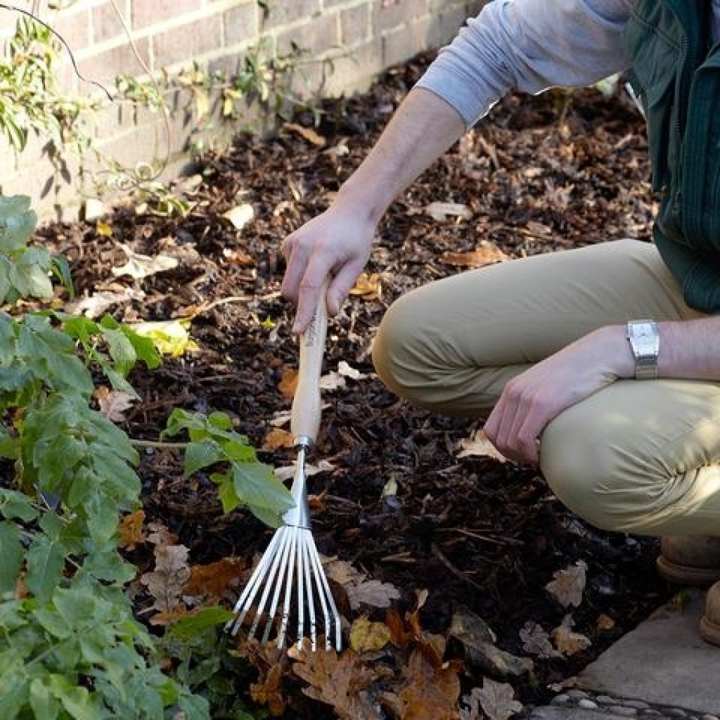 Narrow flat wire flower rake with 9 tines - Burgon & Ball - RHS Range